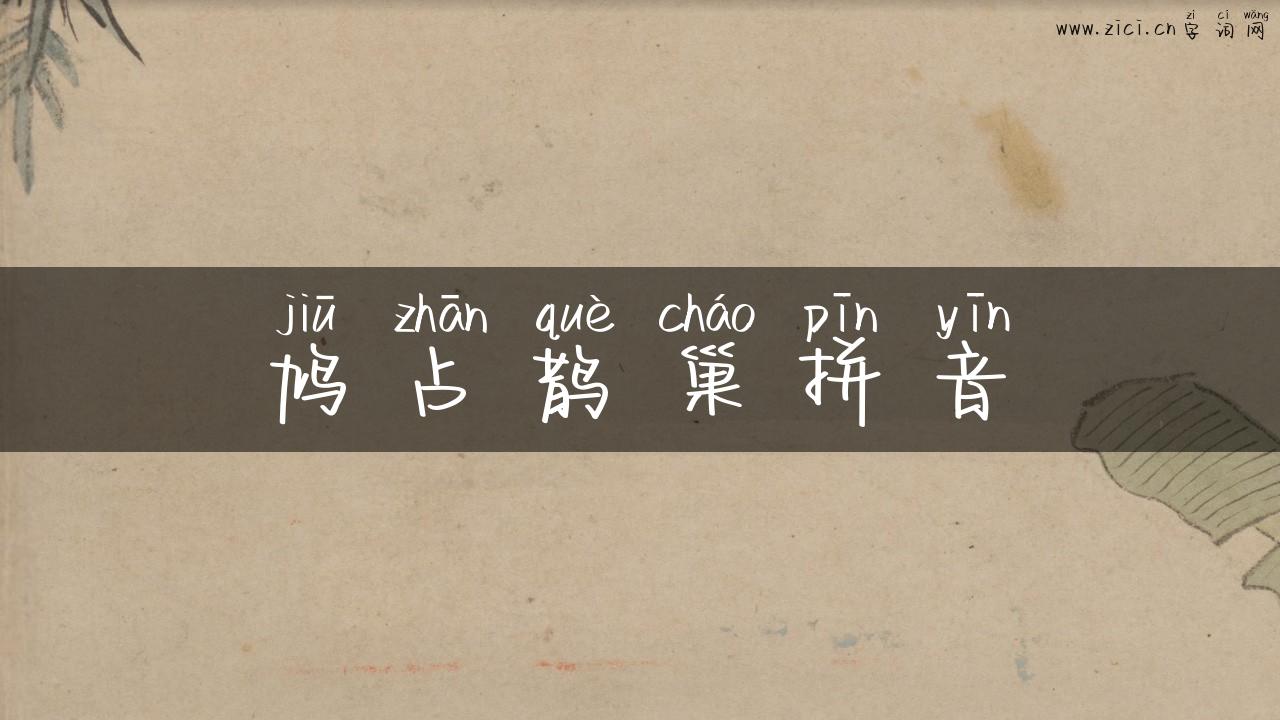 鸠占鹊巢拼音