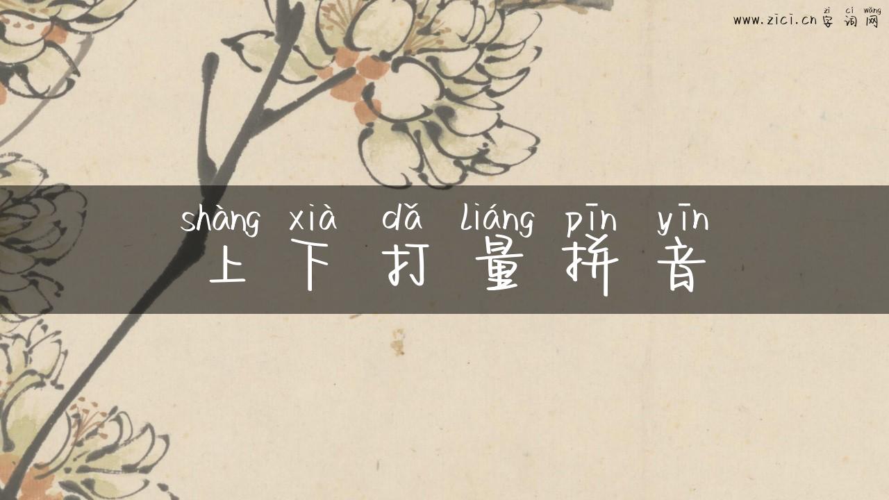 上下打量拼音