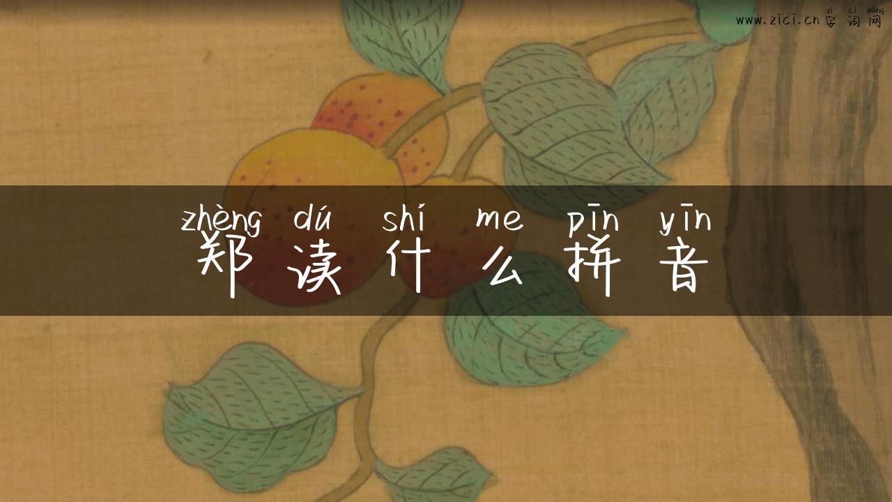 郑读什么拼音