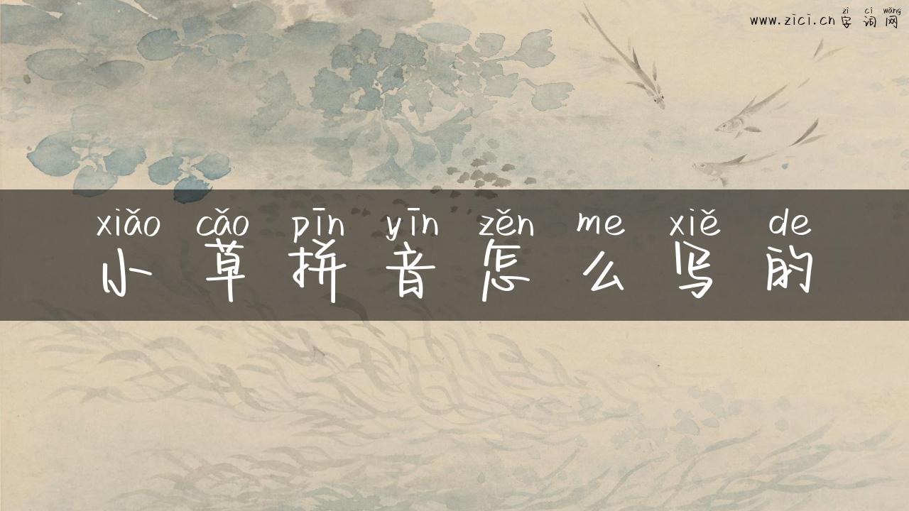 小草拼音怎么写的