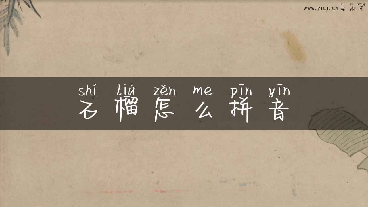 石榴怎么拼音