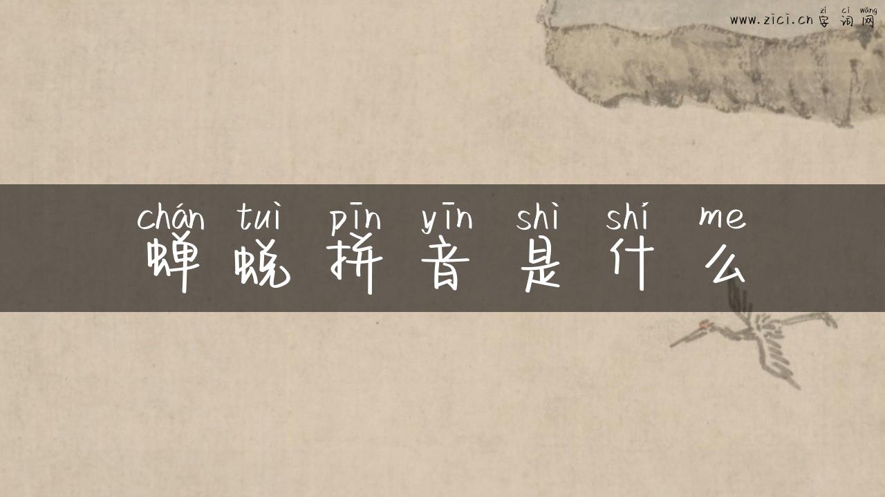 蝉蜕拼音是什么