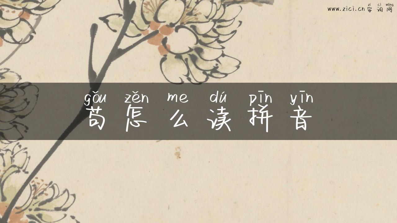 苟怎么读拼音