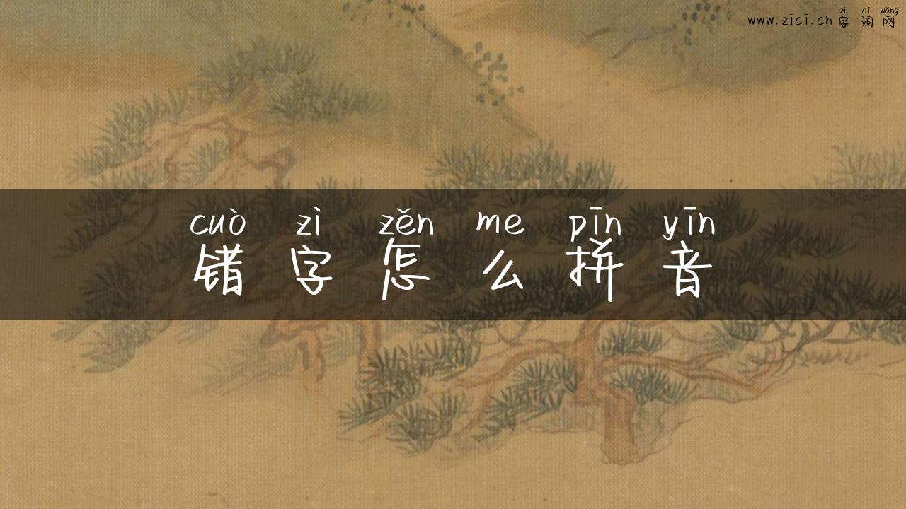 错字怎么拼音