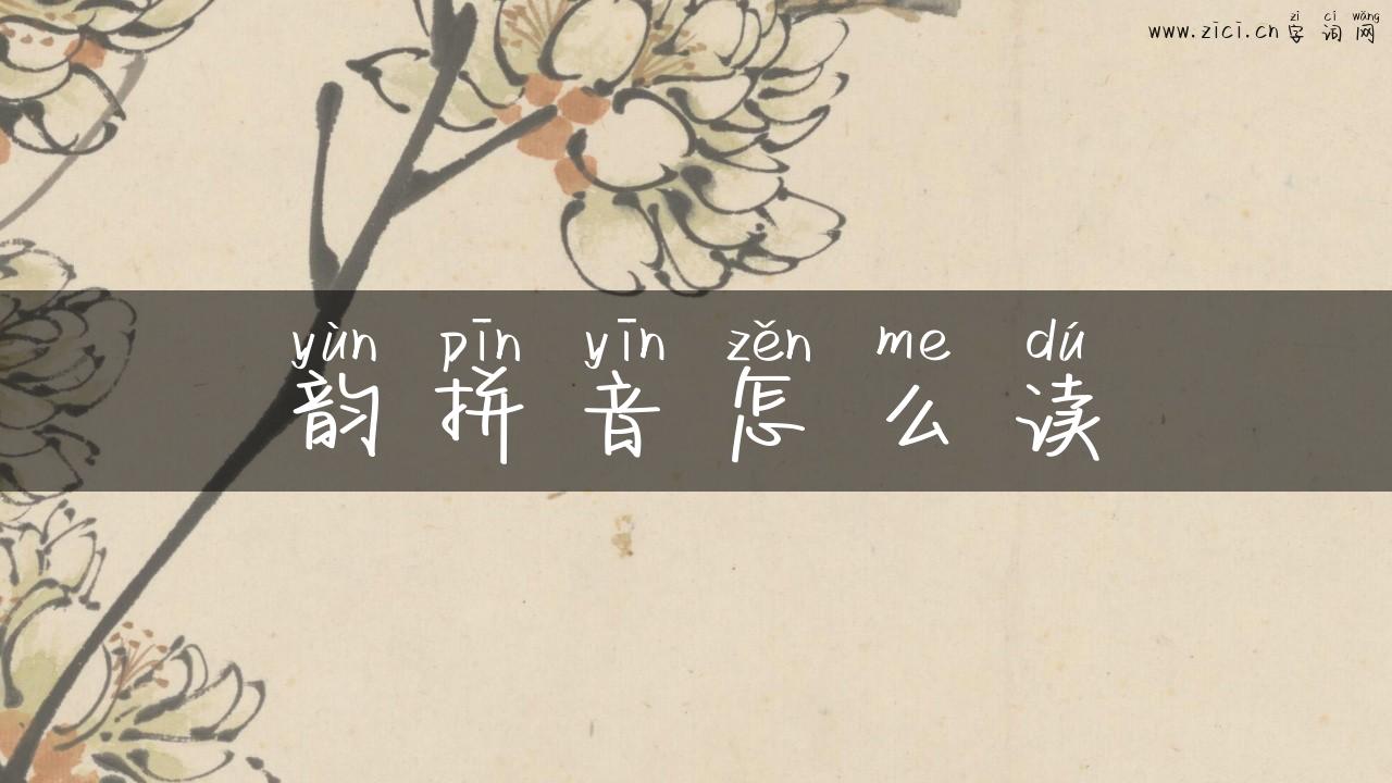 韵拼音怎么读