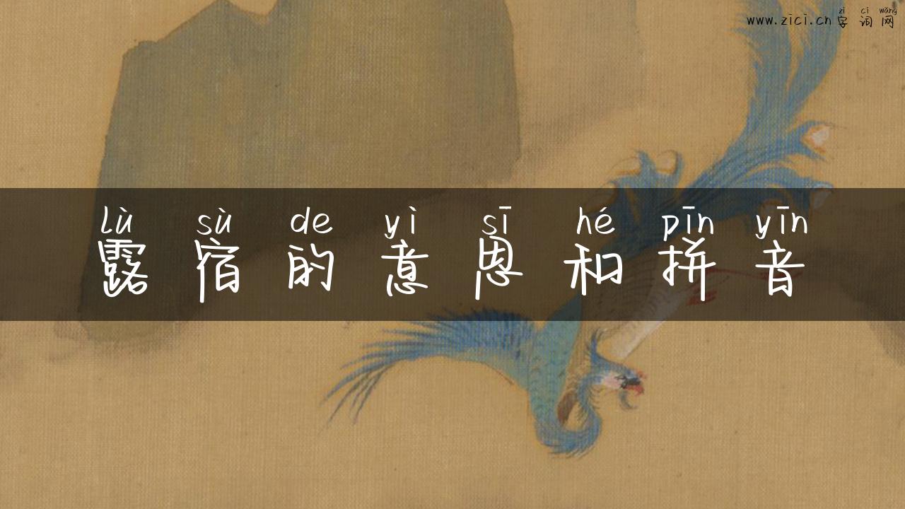 露宿的意思和拼音