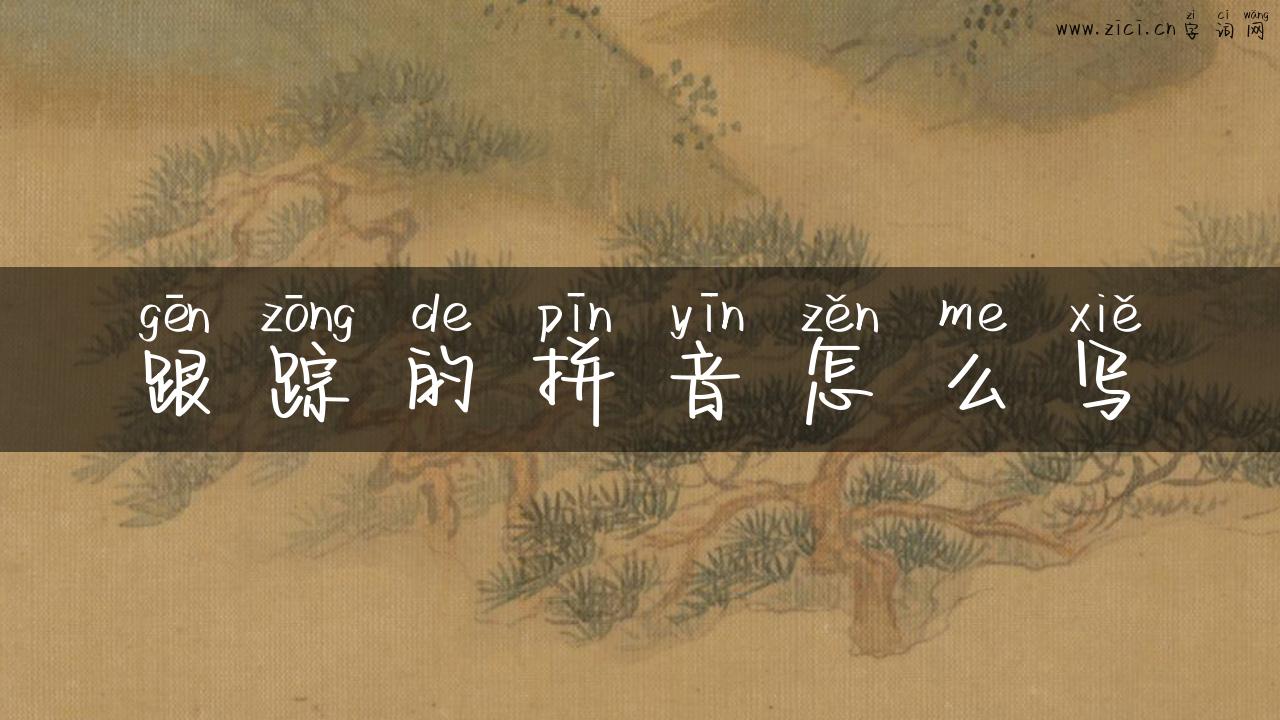 跟踪的拼音怎么写