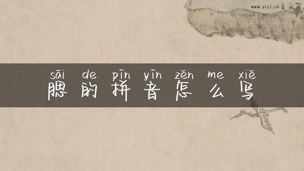 腮的拼音怎么写