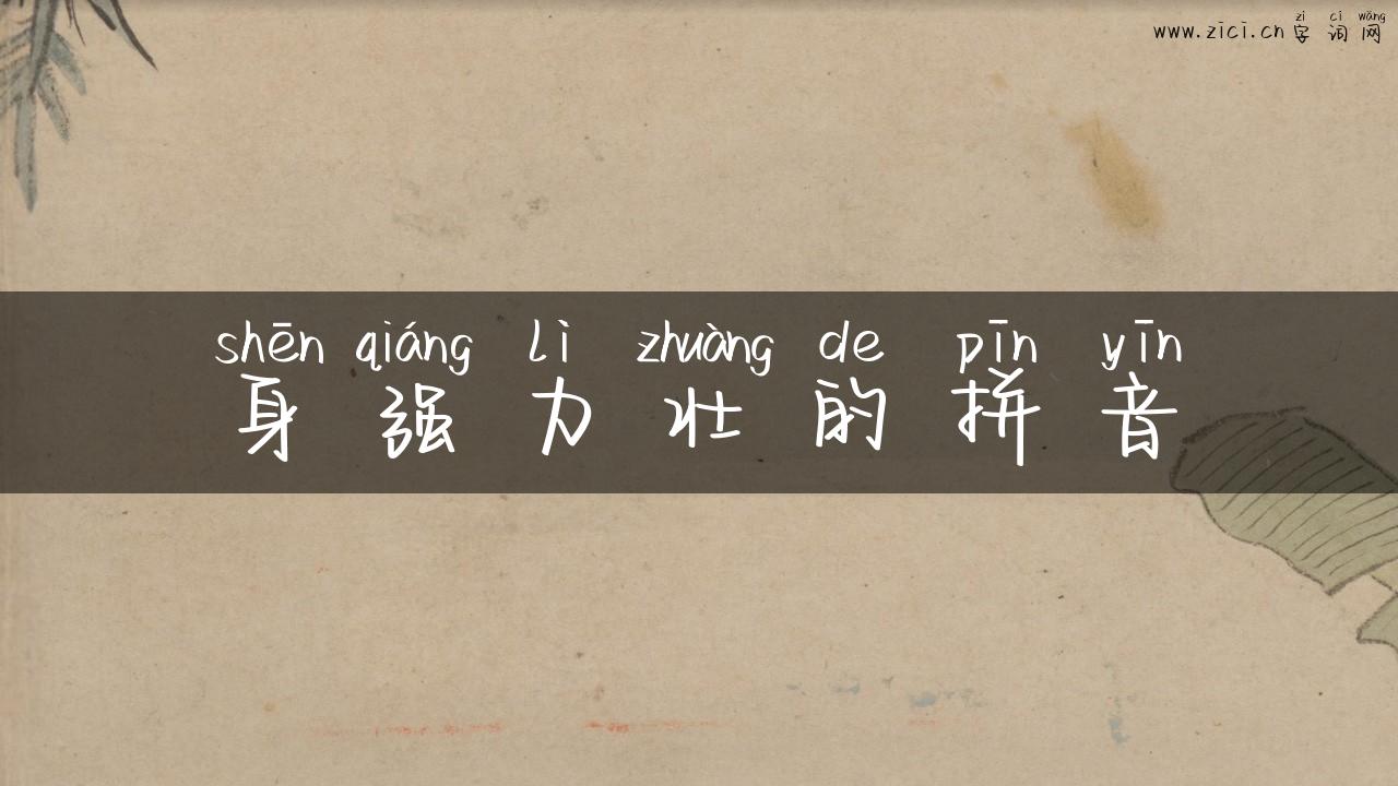 身强力壮的拼音