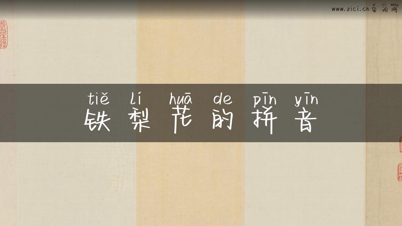 铁梨花的拼音