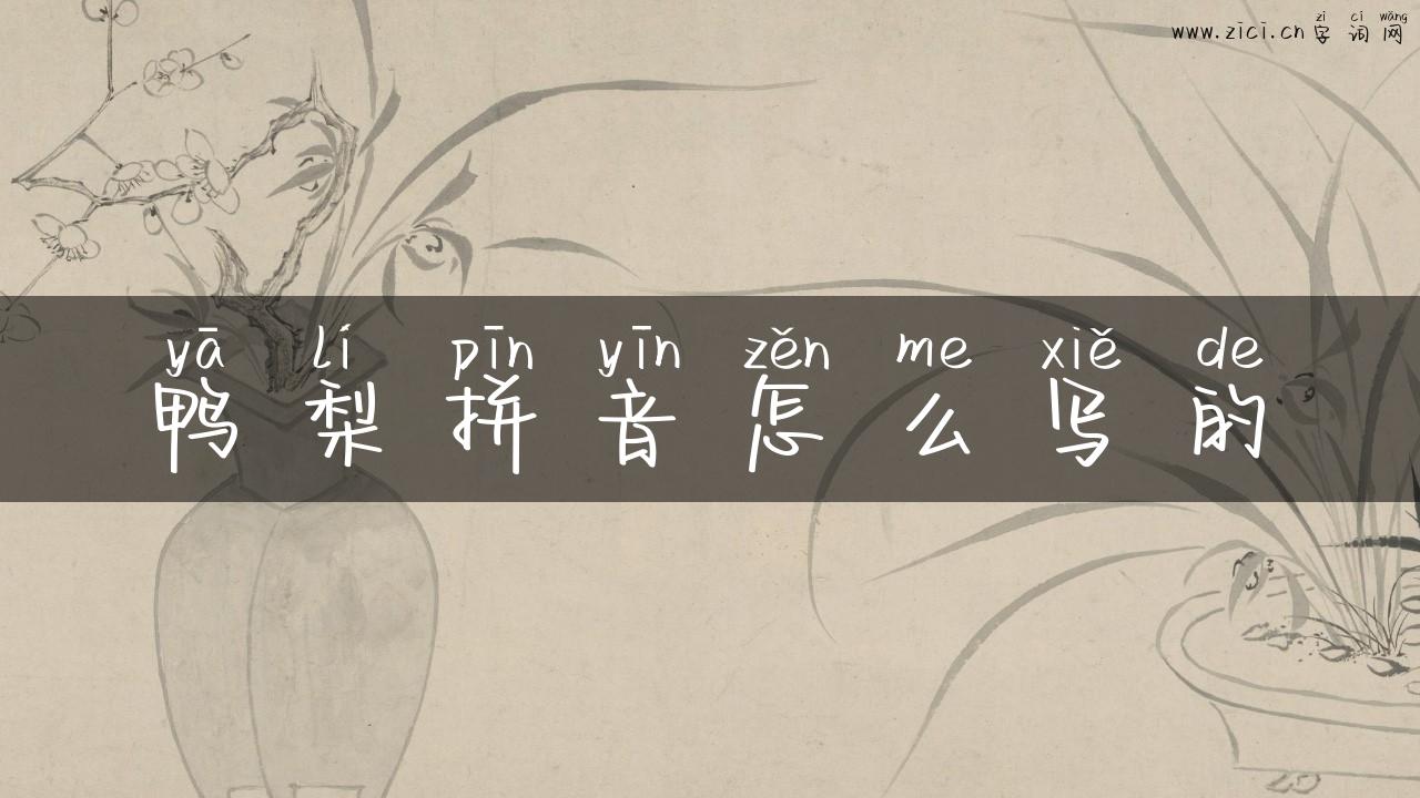 鸭梨拼音怎么写的