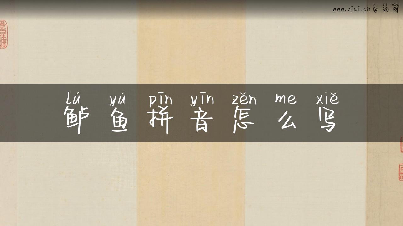 鲈鱼拼音怎么写