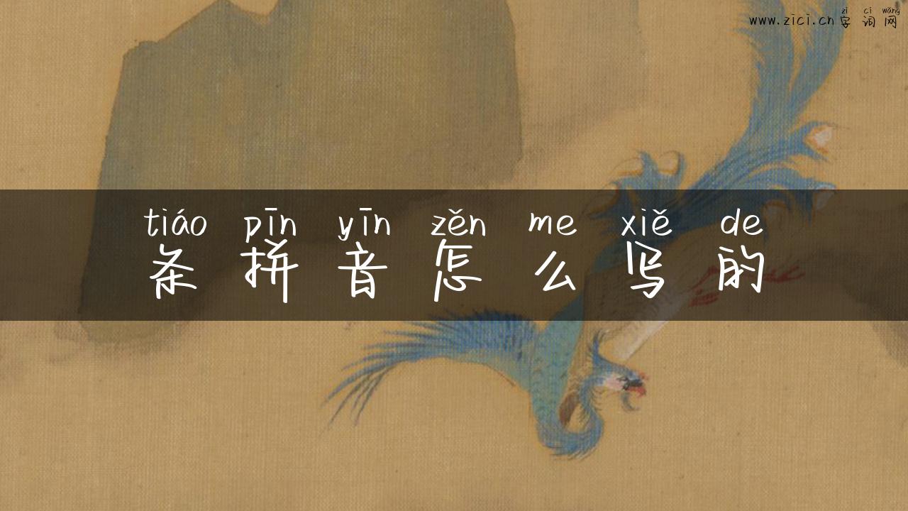 条拼音怎么写的