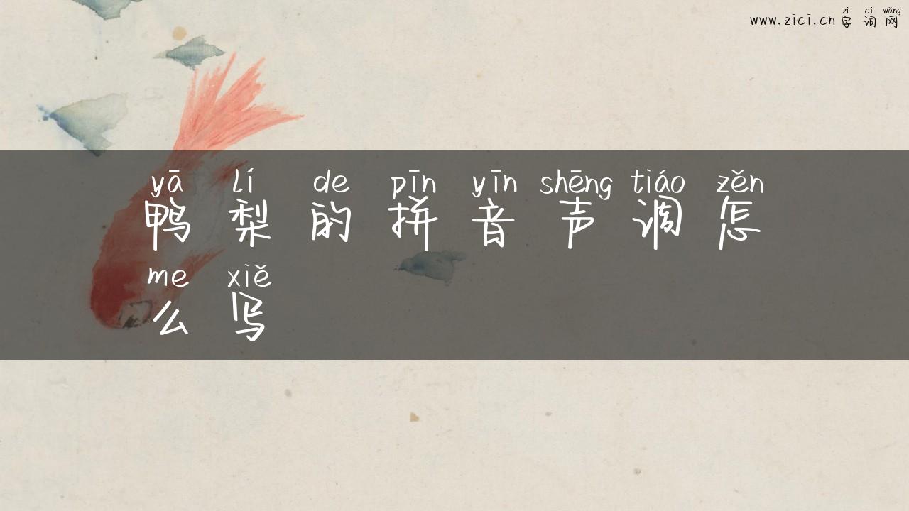 鸭梨的拼音声调怎么写