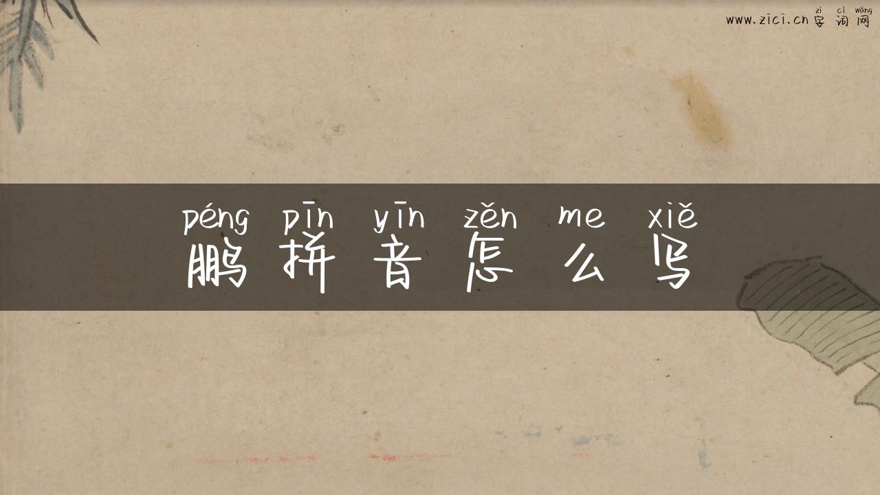 鹏拼音怎么写