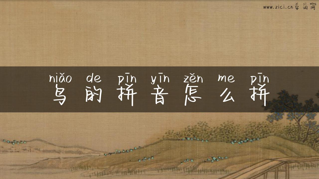 鸟的拼音怎么拼