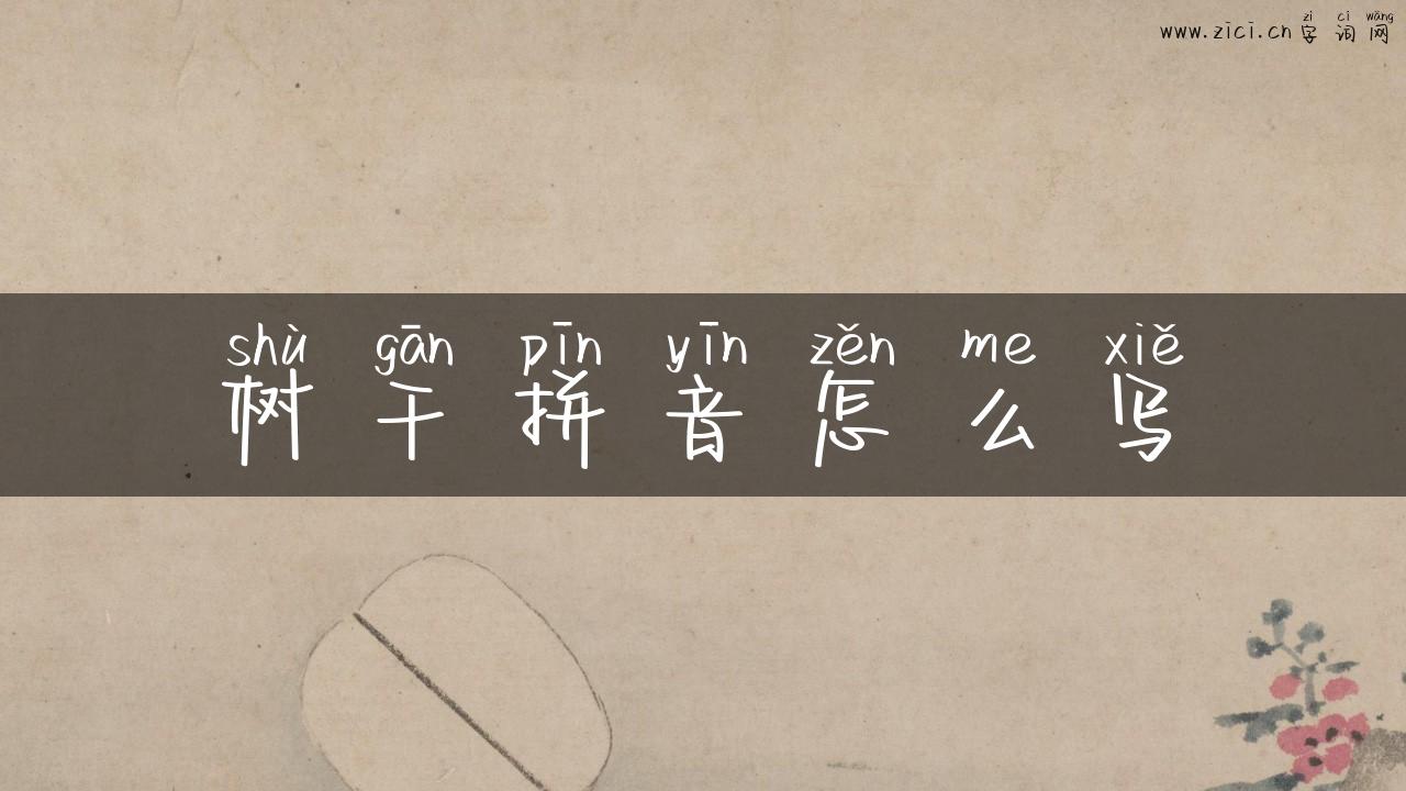 树干拼音怎么写