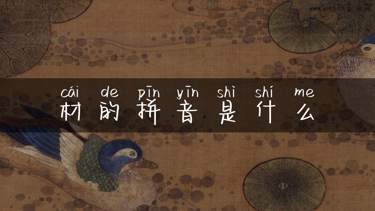 材的拼音是什么