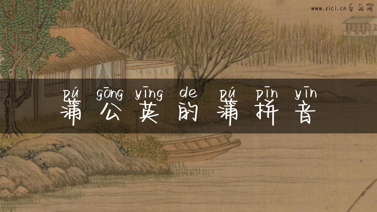 蒲公英的蒲拼音