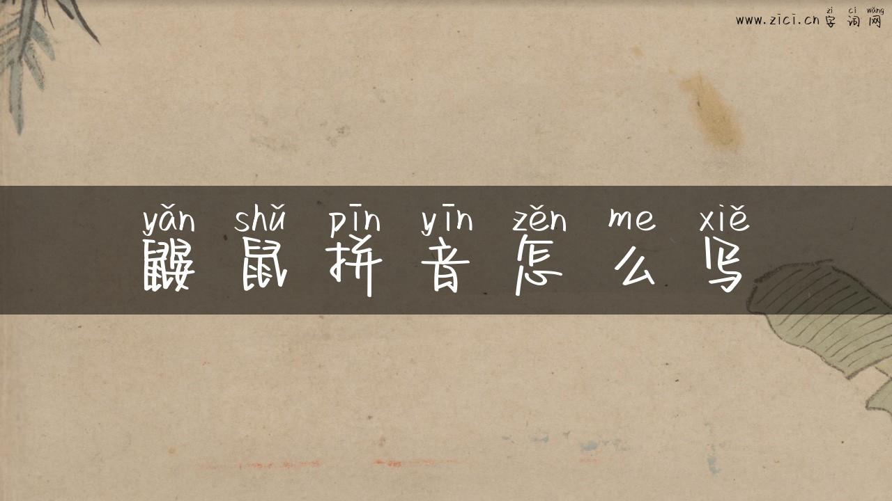 鼹鼠拼音怎么写