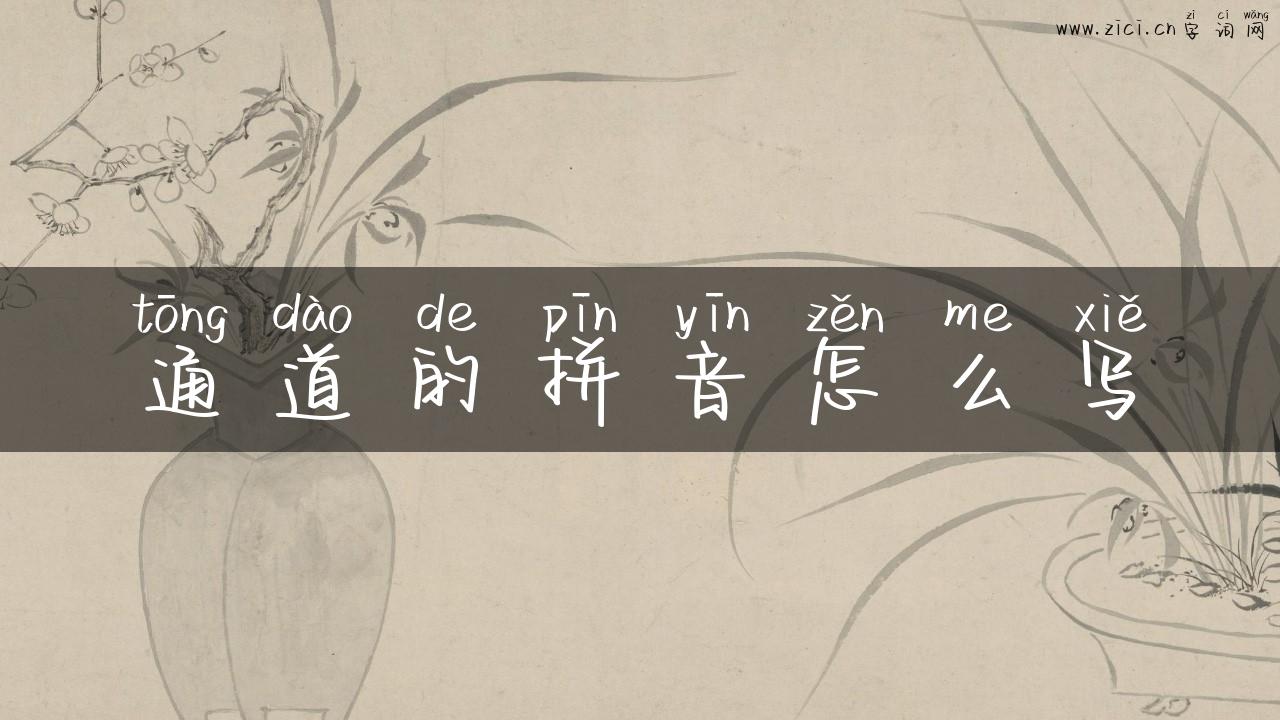 通道的拼音怎么写