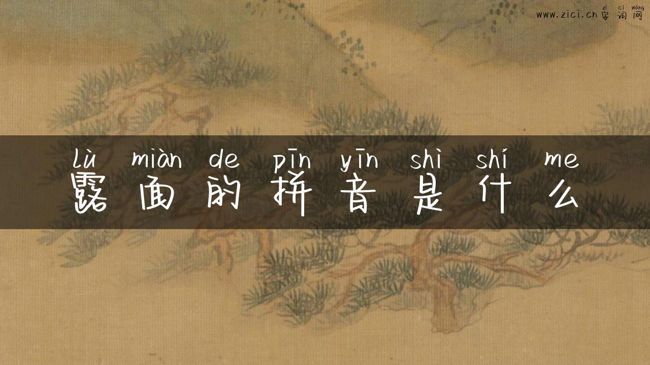 露面的拼音是什么