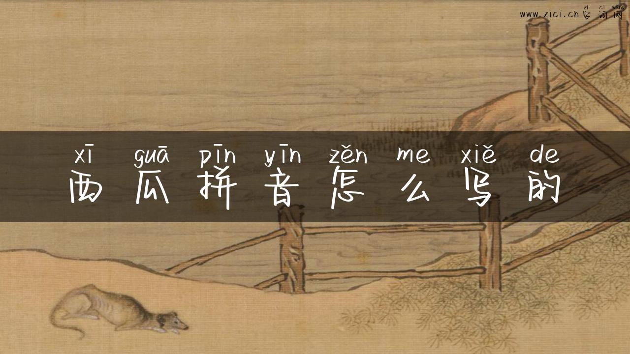 西瓜拼音怎么写的