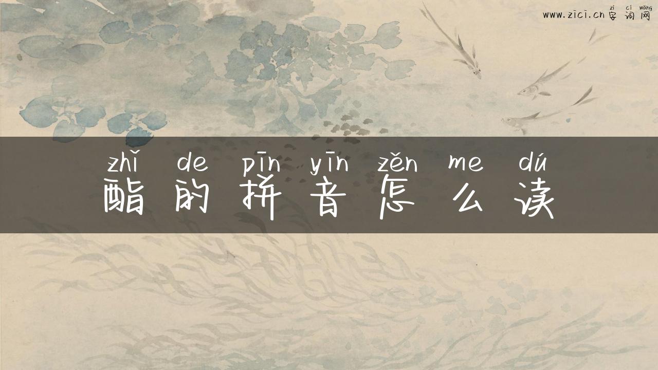 酯的拼音怎么读