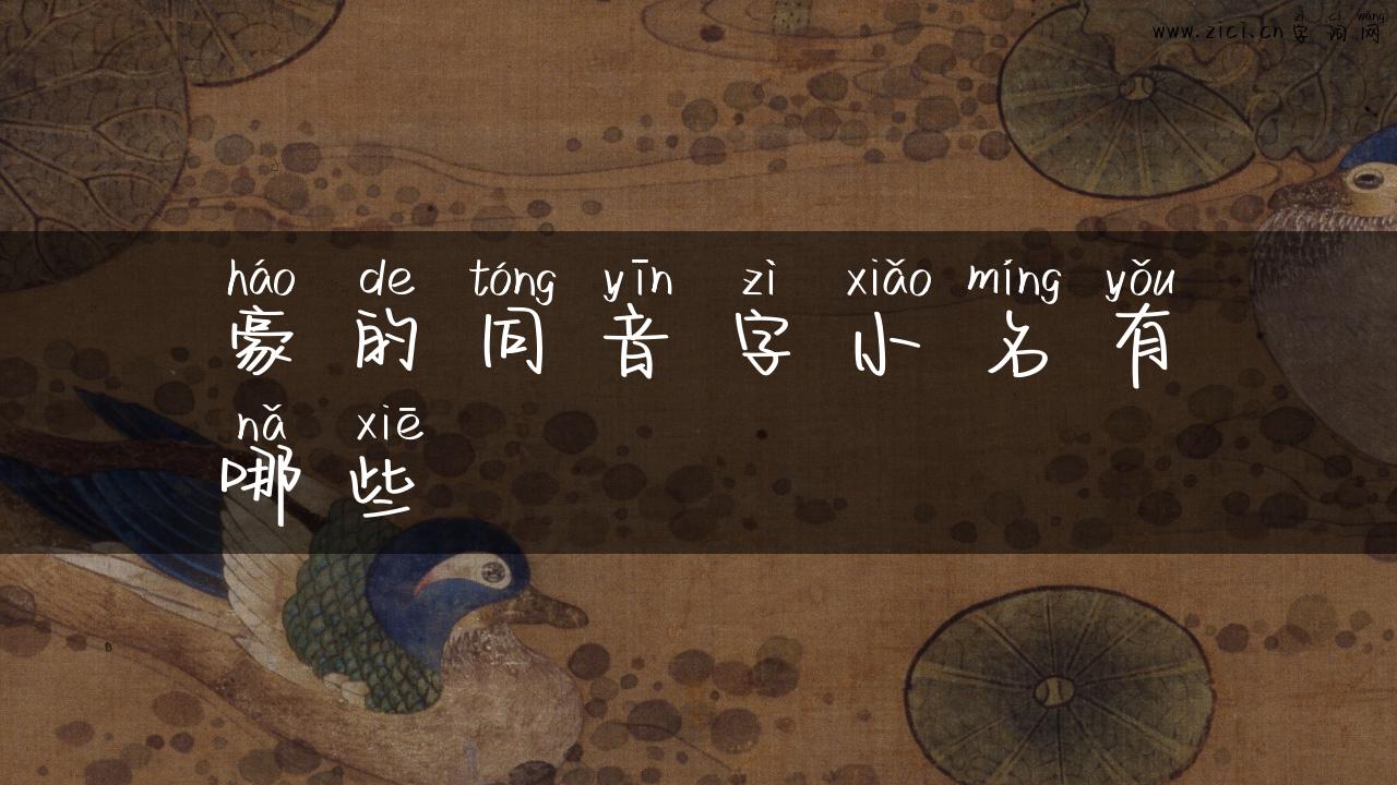 豪的同音字小名有哪些