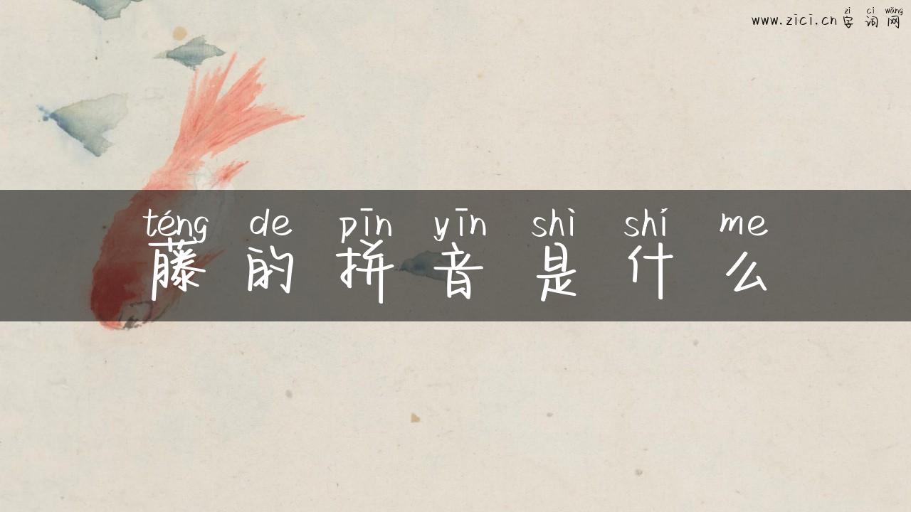 藤的拼音是什么