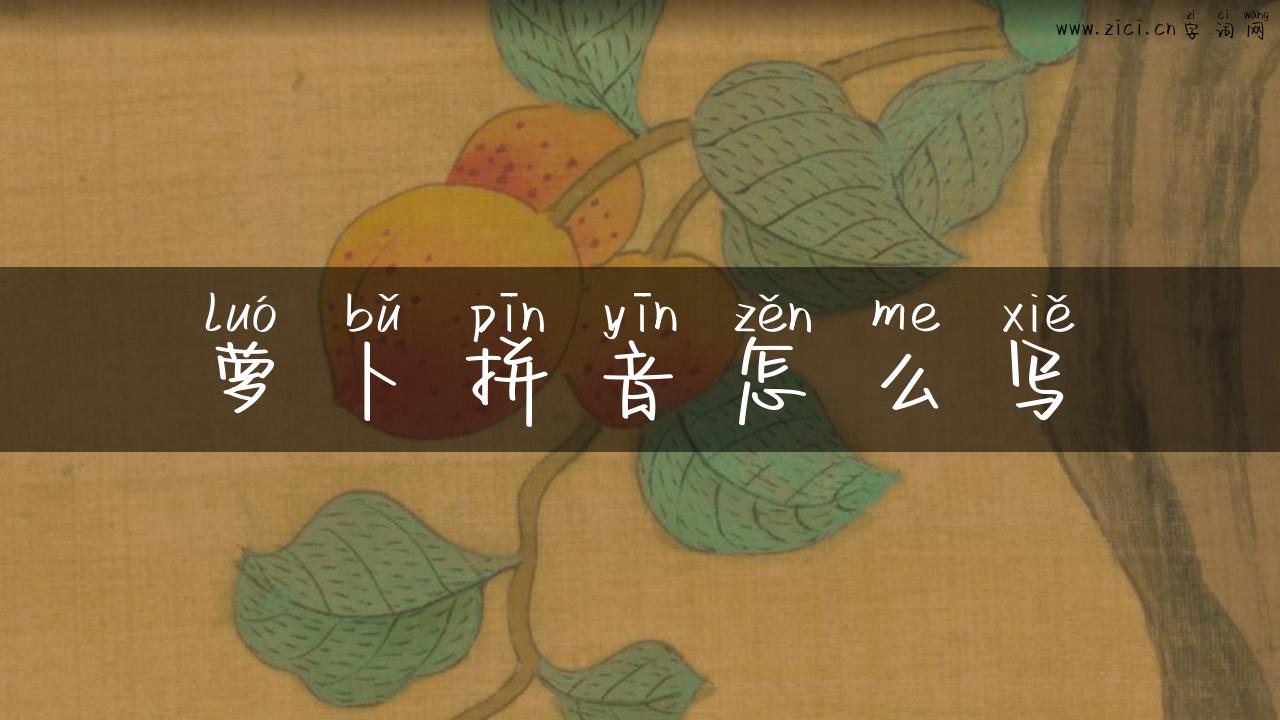 萝卜拼音怎么写
