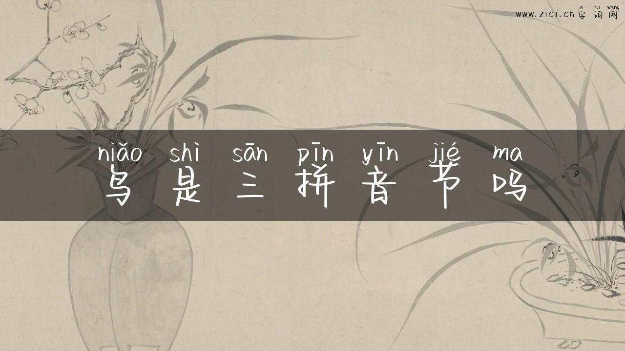 鸟是三拼音节吗