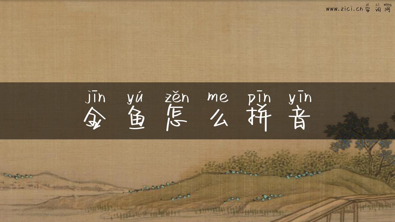 金鱼怎么拼音