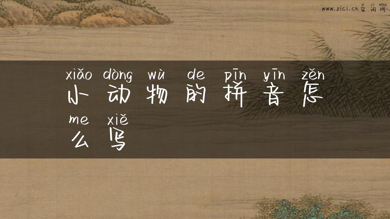 小动物的拼音怎么写