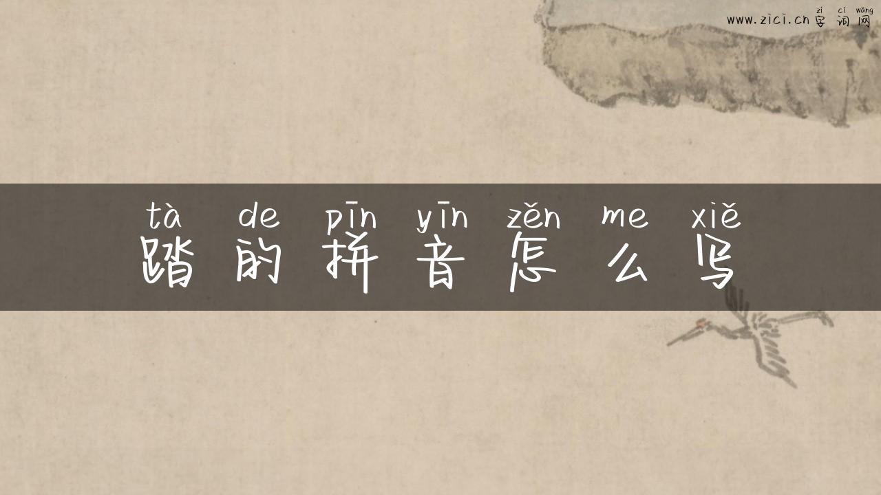踏的拼音怎么写