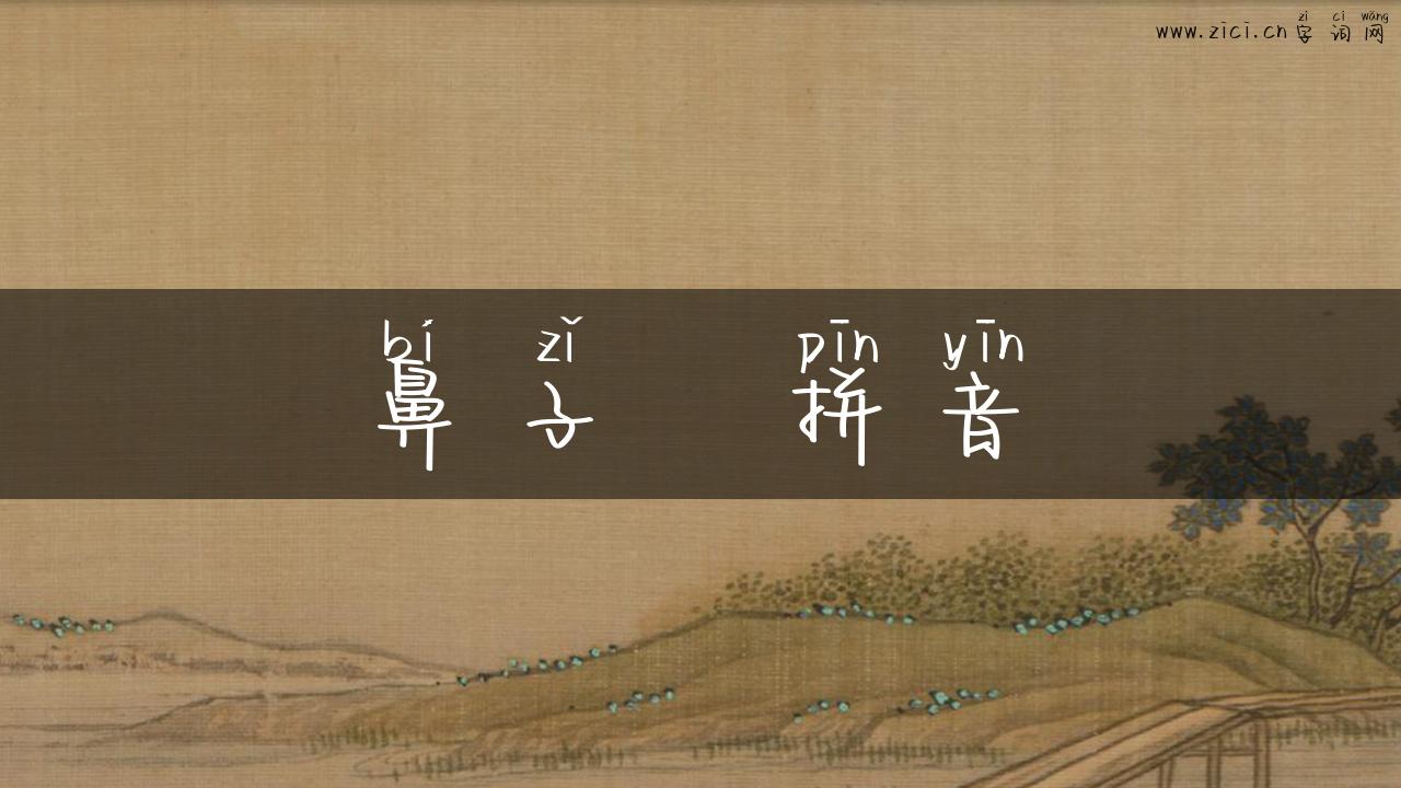 鼻子   拼音