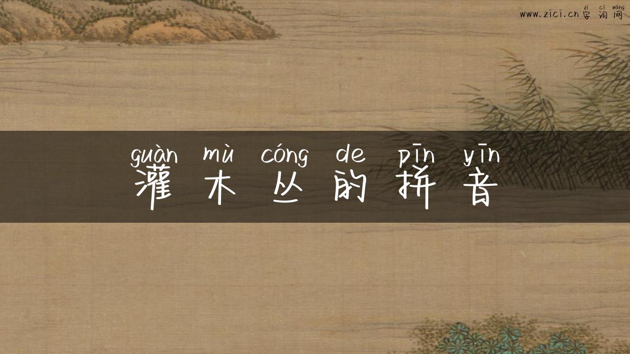 灌木丛的拼音