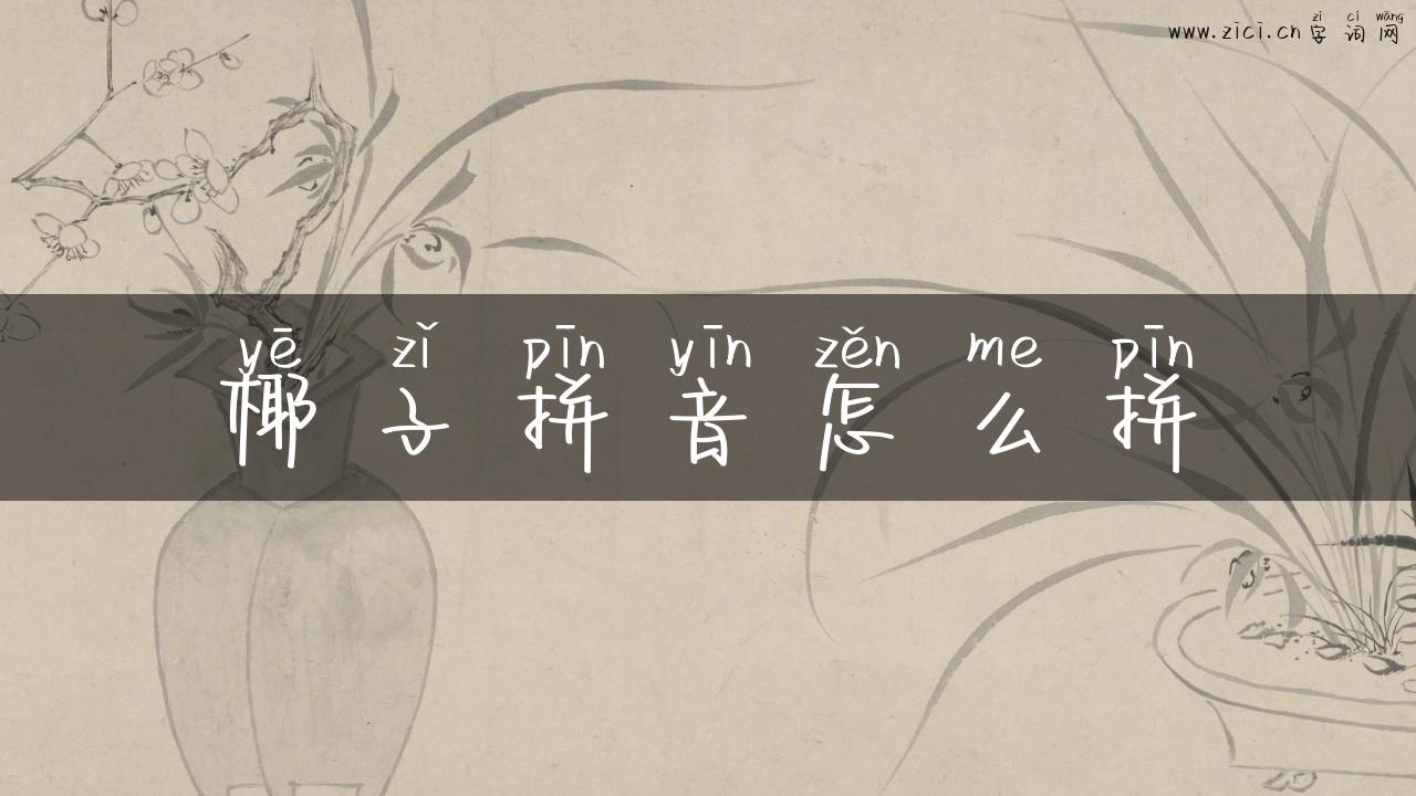 椰子拼音怎么拼
