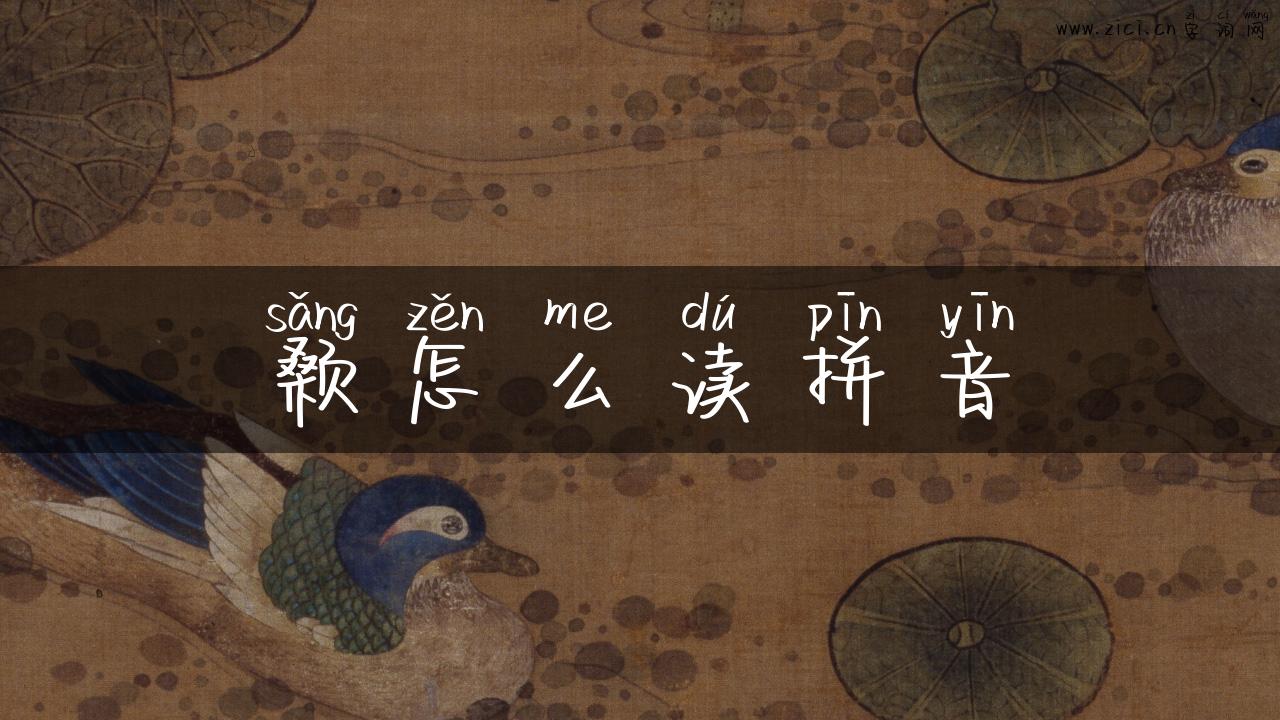 颡怎么读拼音