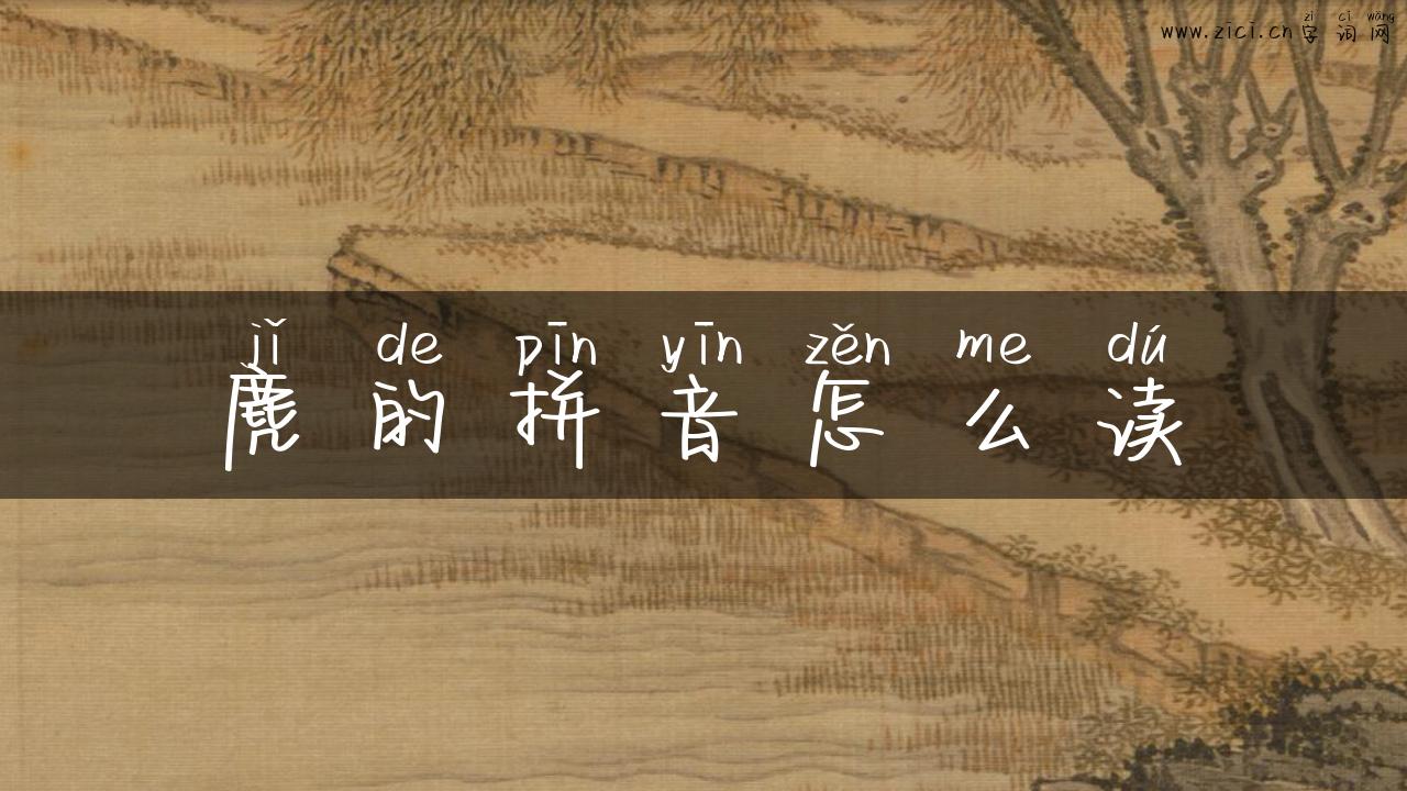 麂的拼音怎么读