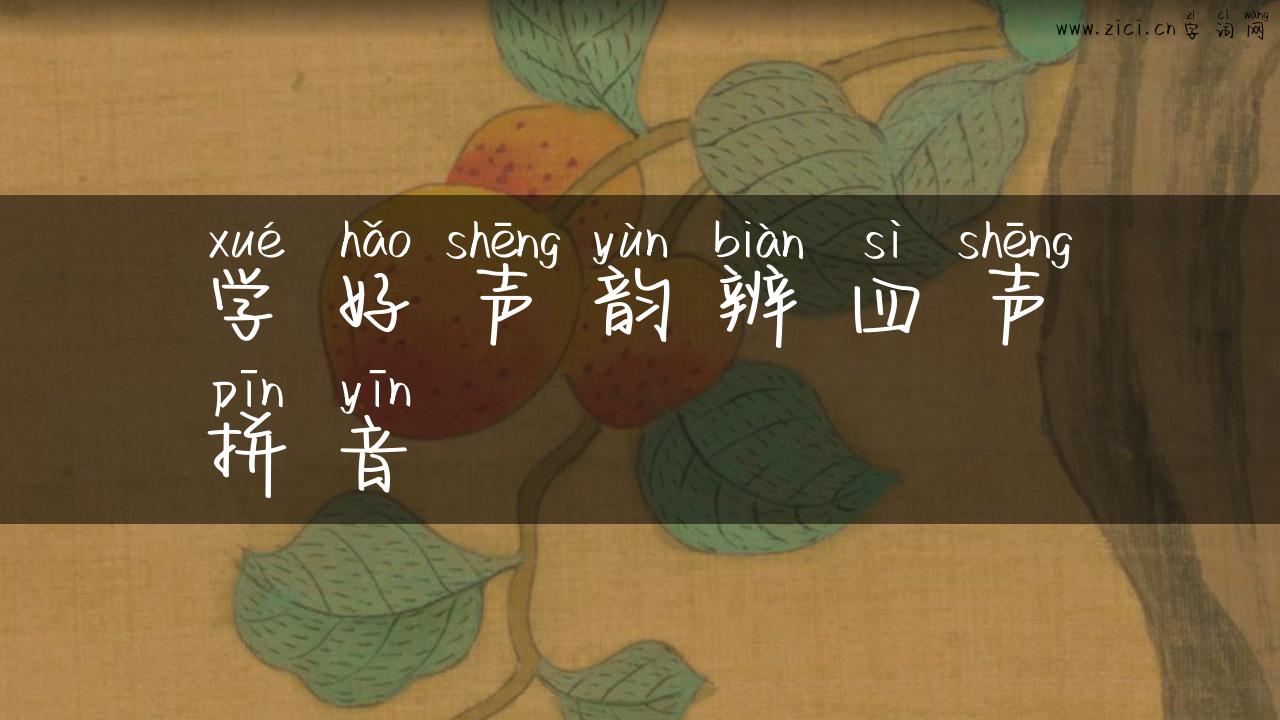 学好声韵辨四声拼音