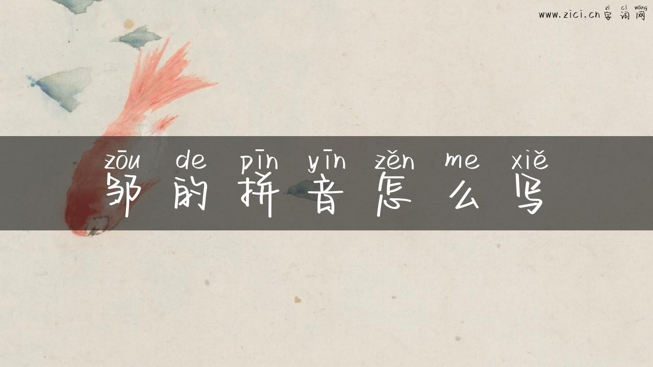 邹的拼音怎么写