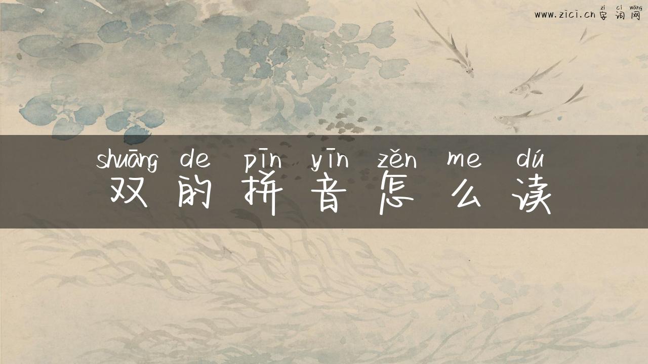 双的拼音怎么读