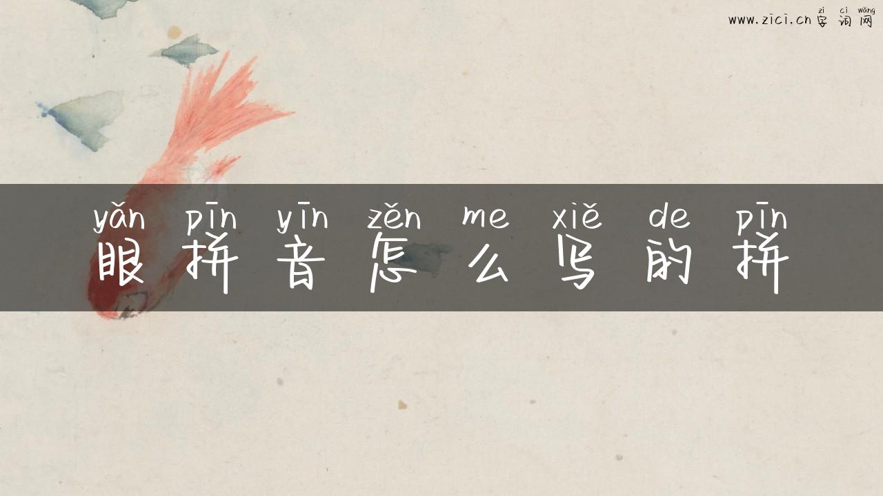 眼拼音怎么写的拼
