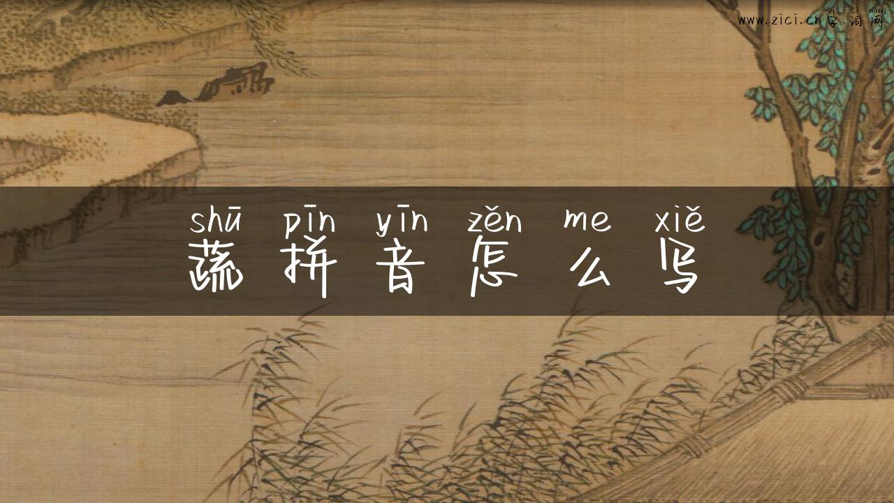 蔬拼音怎么写