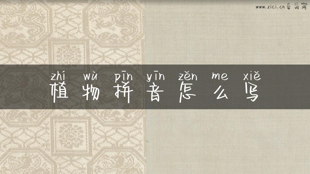 植物拼音怎么写