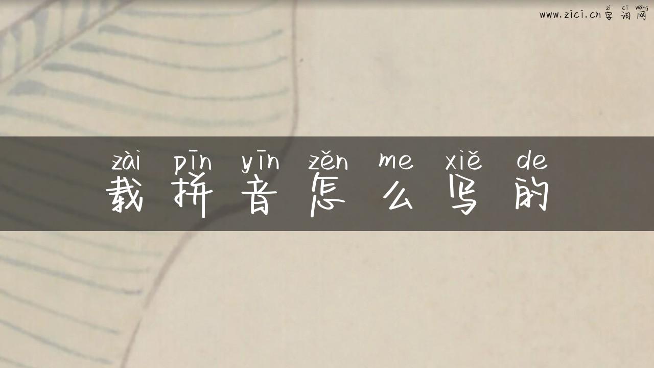 载拼音怎么写的