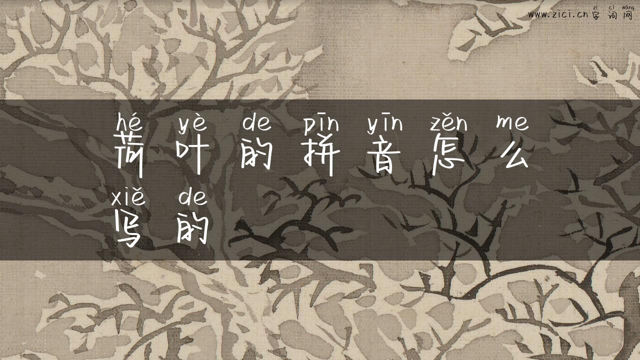 荷叶的拼音怎么写的