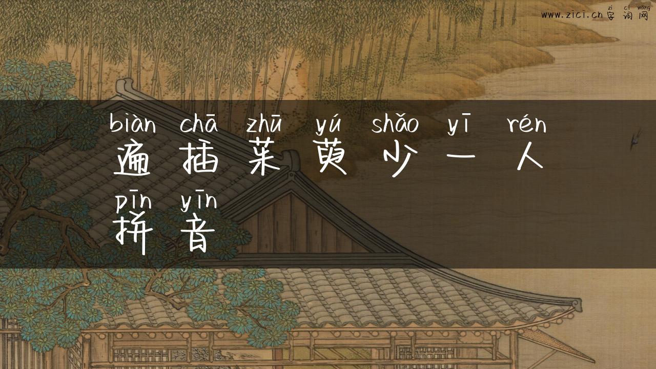 遍插茱萸少一人拼音