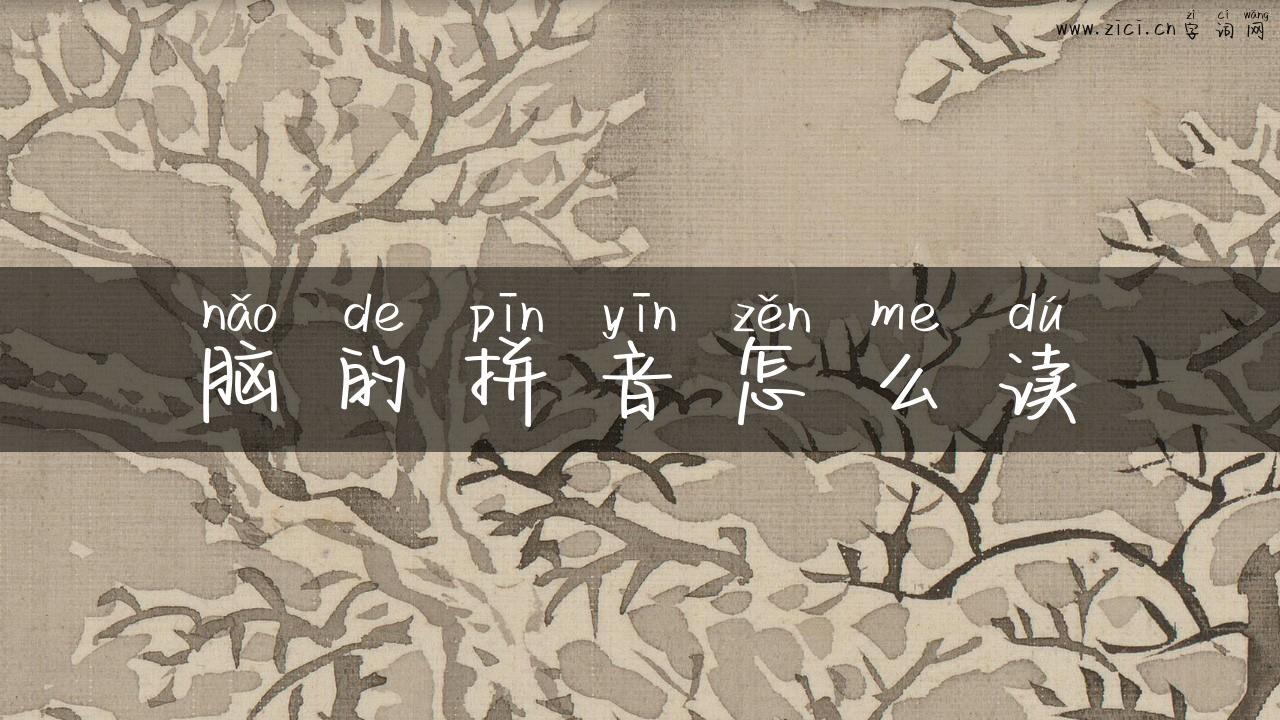 脑的拼音怎么读